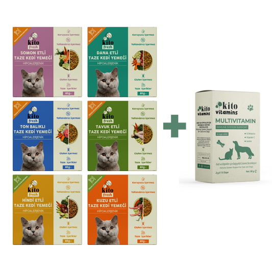 Kediiler İçin Fresh Tanışma ve Multivitamin