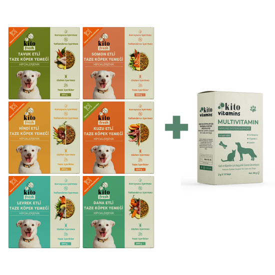 Köpekler İçin Fresh Tanışma ve Multivitamin