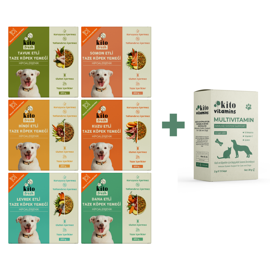 Köpekler İçin Fresh Tanışma ve Multivitamin