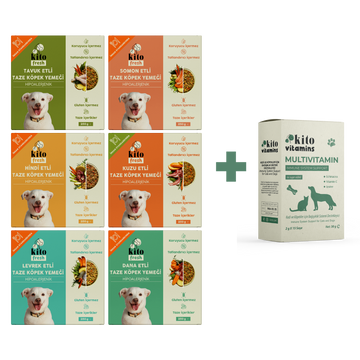 Köpekler İçin Fresh Tanışma ve Multivitamin