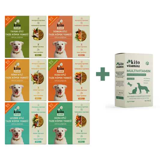 Köpekler İçin Fresh Tanışma ve Multivitamin