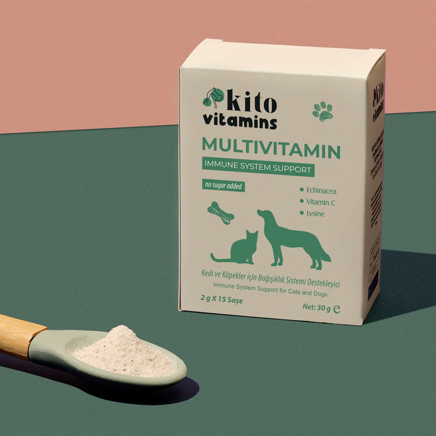 Kito Multivitamin Immune System Supporter 2g