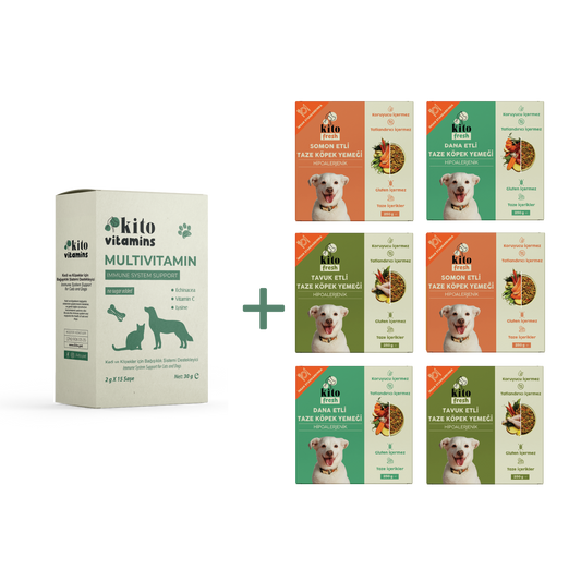Köpekler için Kito Fresh Tanışma Paketi + Kito Multivitamin Bağışıklık Sistemi Destekleyici