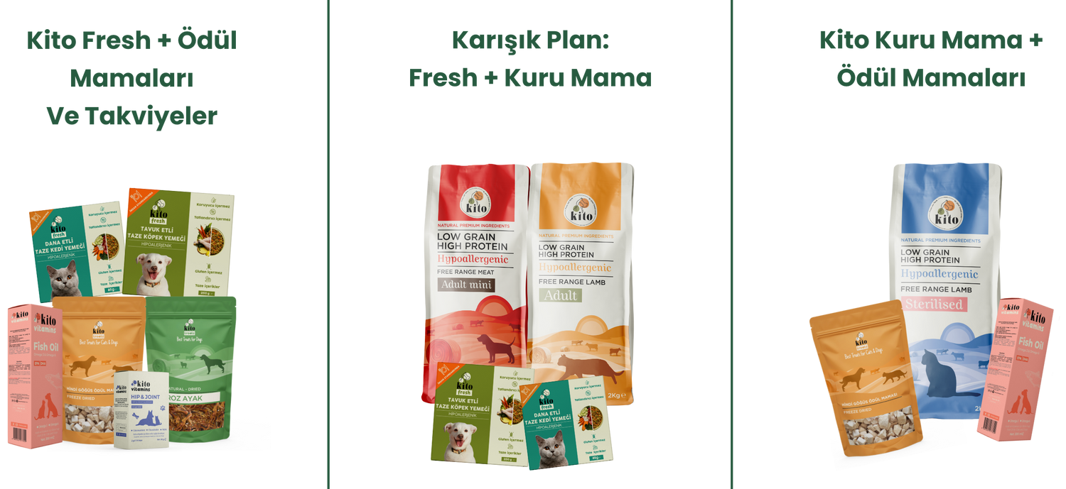 Kito İle 3 Farklı Beslenme Şekli