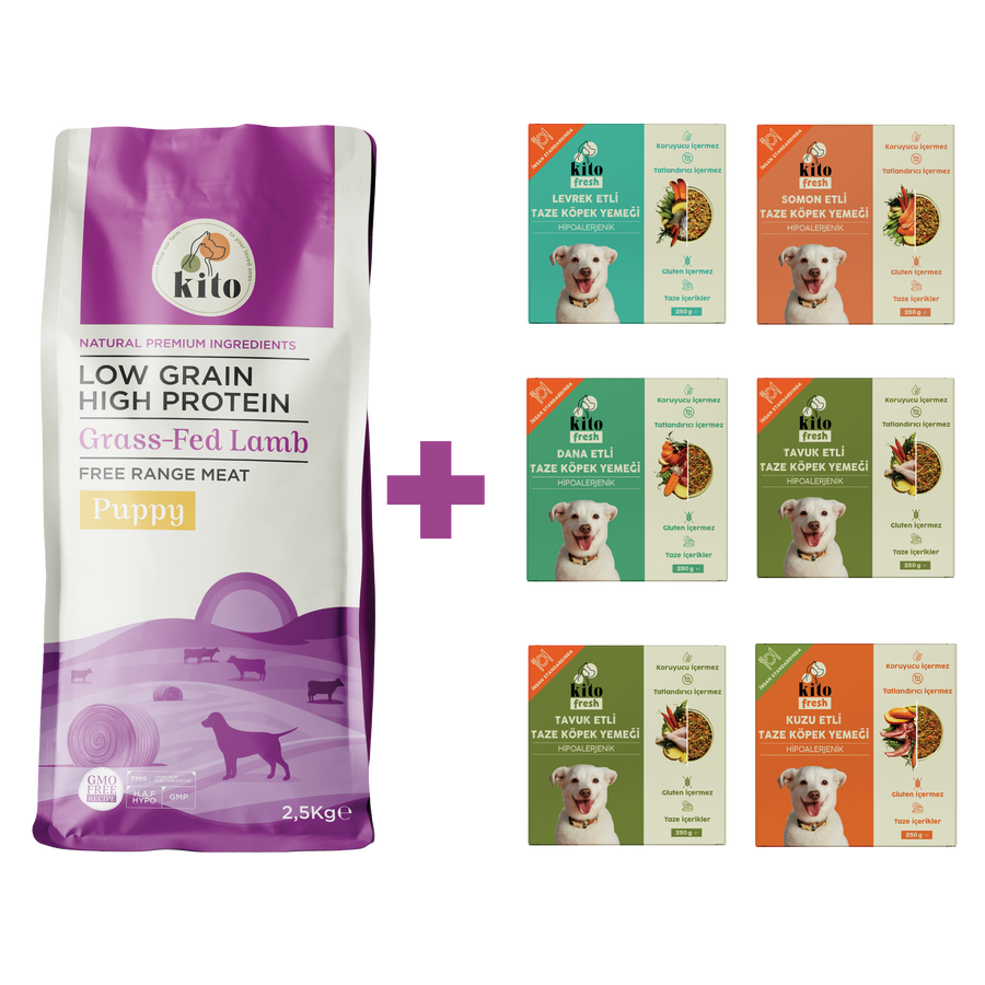 Puppy Food 2,5 KG + Kito Fresh Introductions Package