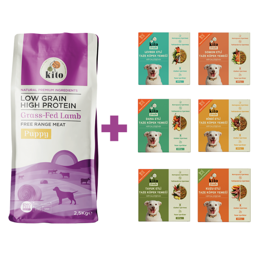 Yavru Köpek Maması 2.5 KG + Köpek Kito Fresh Tanışma Paketi