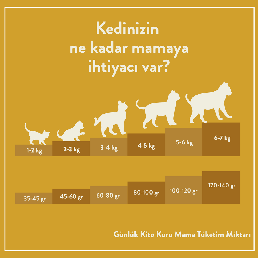 Kito Doğal Besi Kuzu Etli Yetişkin Kedi Maması 2 KG