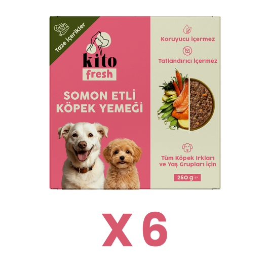 6 Adet Kito Fresh Somon Etli Köpek Yemeği %100 Taze İçerikli Mama (1,5 KG)