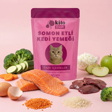 Kito Fresh Somon Etli Kedi Yemeği %100 Taze İçerikli Mama 80 gr