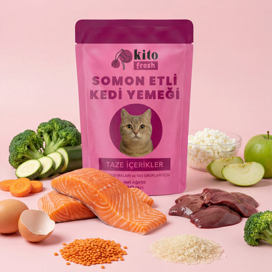 Kito Fresh Somon Etli Kedi Yemeği %100 Taze İçerikli Mama 80 gr