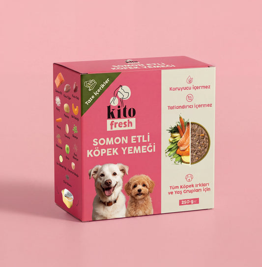 Kito Fresh Somon Etli Köpek Yemeği %100 Taze İçerikli Mama 250 gr