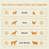 Kito Freeze Dried Somon Ödül Maması Köpekler için (30 gr)