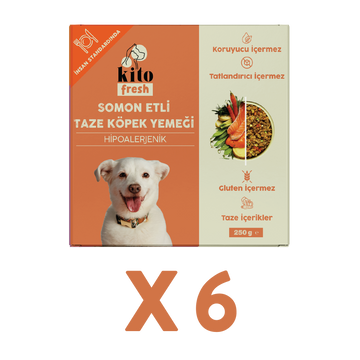 Somon Etli Köpek Yemeği