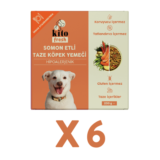 Somon Etli Köpek Yemeği