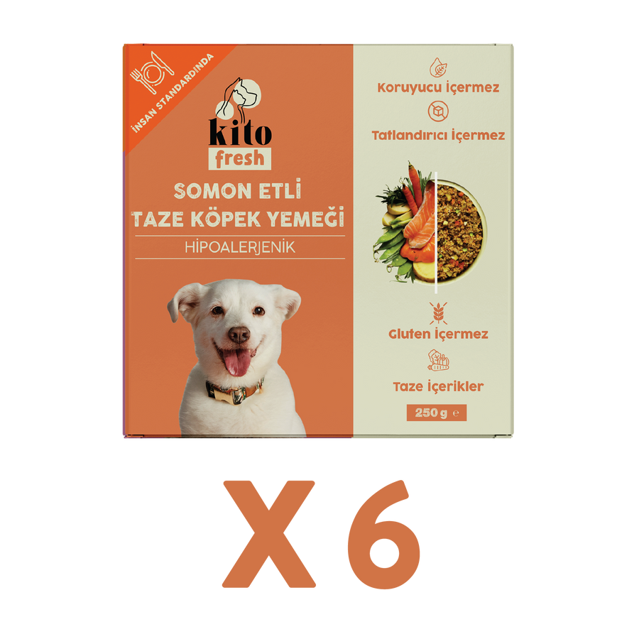 Somon Etli Köpek Kito Fresh X 6 (1,5 kg)