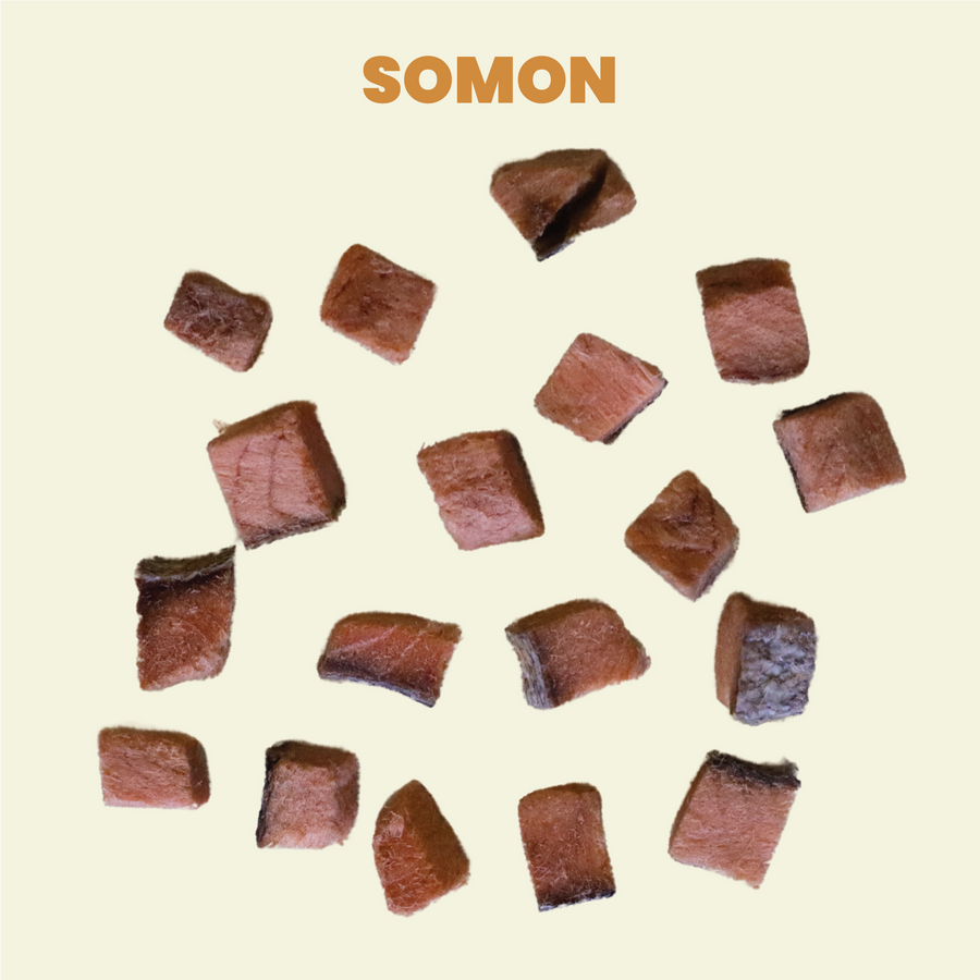 Kito Freeze Dried Somon Ödül Maması Köpekler için (30 gr)