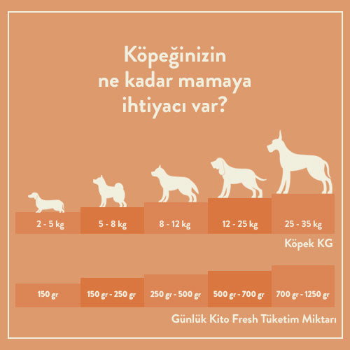Adult Dog Food 15 KG + Kito Fresh Dog Food with Salmon X 6