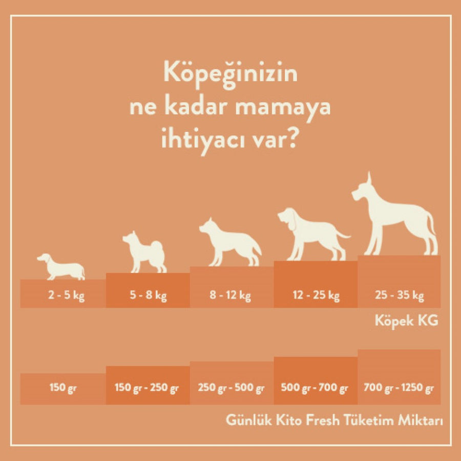 Kito Fresh Dog Food with Salmon X 6 (1,5 kg)