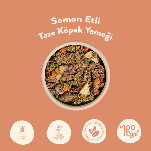 Somon Etli Taze Kedi Yemeği