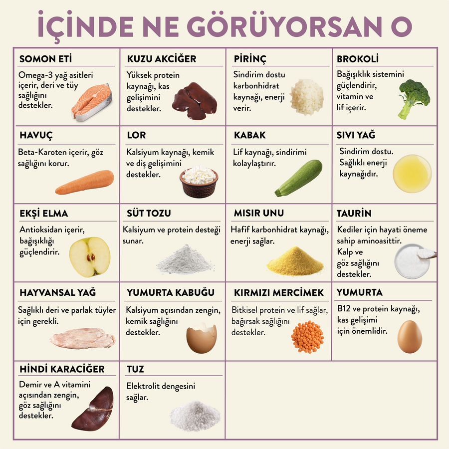 Somon Etli Kito Fresh x60 (Kısırlaştırılmış Kediler için Aylık Kito Fresh Paketi)