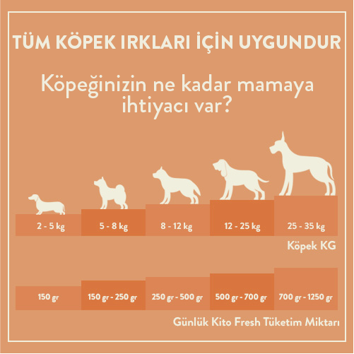 Somon Etli Köpek Kito Fresh X 6 (1,5 kg)