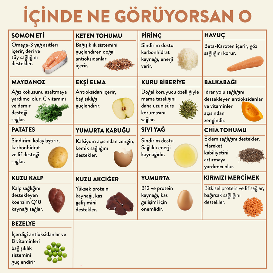 3 Günde 1 Sevindir Paketi Kito Fresh Somonlu Köpek Yemeği 250 gr (10 Adet)