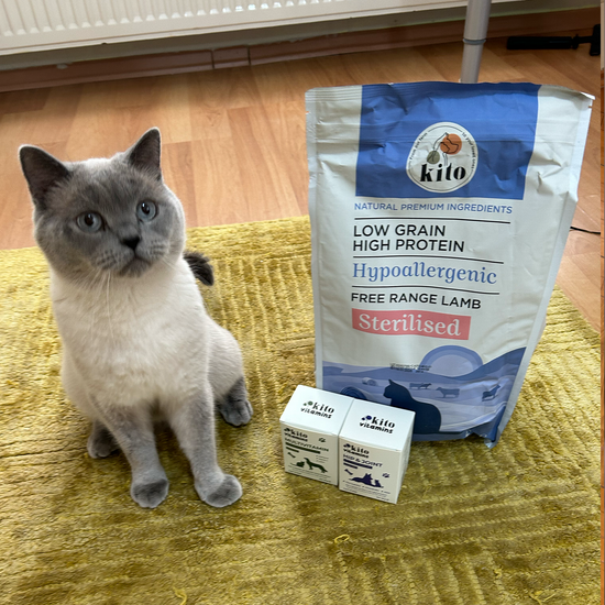 Kısır Kedi Maması ve Dana Etli Kedi Yemeği