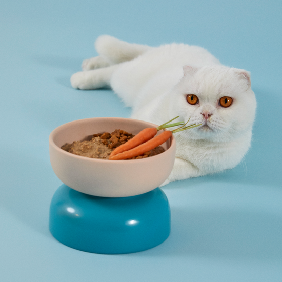 Tavuk Etli Taze Kedi Yemeği