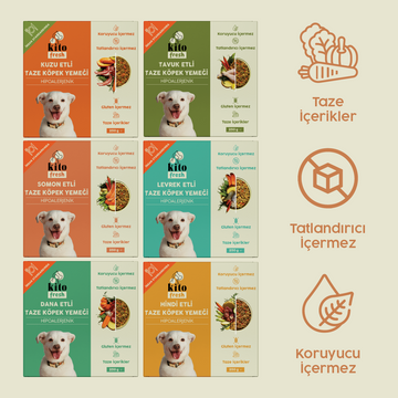 Kito Fresh Köpekler için %100 Taze İçerikli Mama Tanışma Paketi