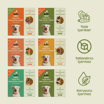 Kito Fresh Köpekler için %100 Taze İçerikli Mama Tanışma Paketi