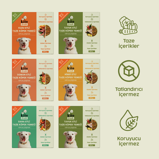 Kito Fresh Köpekler için %100 Taze İçerikli Mama Tanışma Paketi