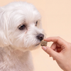 Kito Freeze Dried Tavuk Ciğer Ödül Maması 30 gr (Kediler ve Köpekler için)