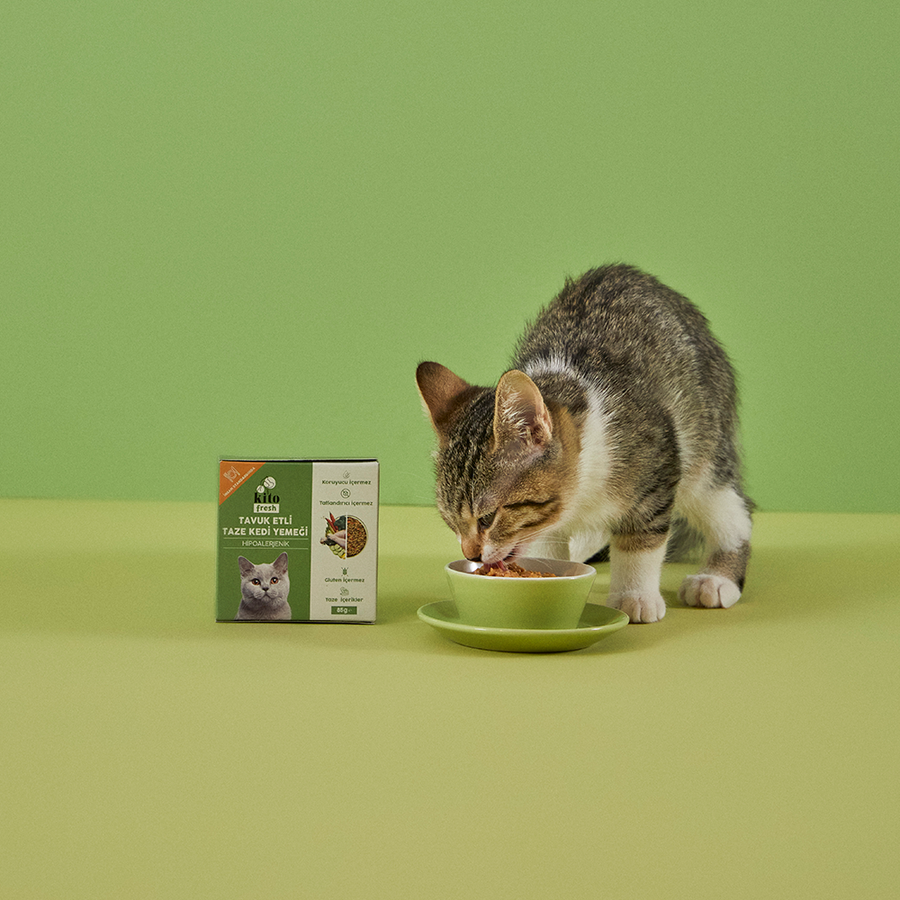Kito Fresh with Chicken x 70 (Monthly Kito Fresh Package for Adult Cats)