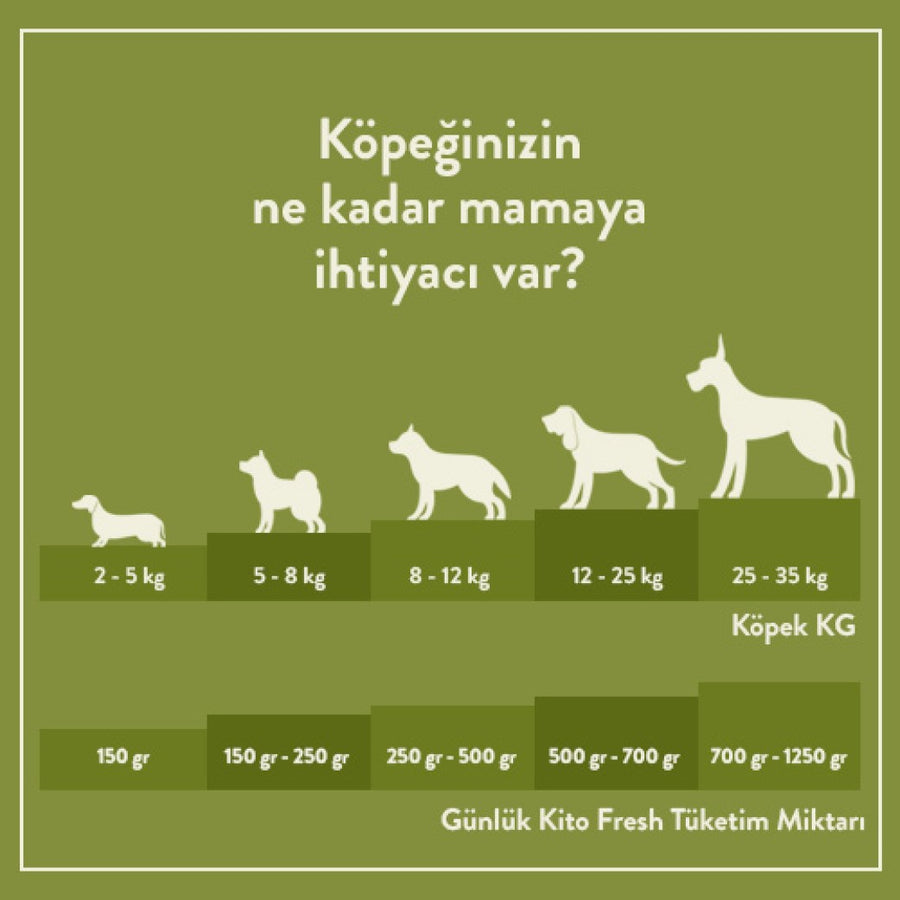 Tavuk Etli Köpek Kito Fresh X 6 (1,5 kg)