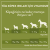 3 Günde 1 Sevindir Paketi Kito Fresh Tavuk Etli Köpek Yemeği 250 gr (10 Adet)