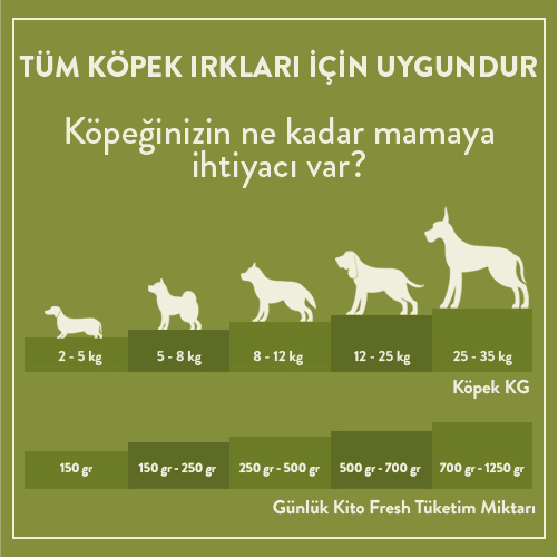 3 Günde 1 Sevindir Paketi Kito Fresh Tavuk Etli Köpek Yemeği 250 gr (10 Adet)
