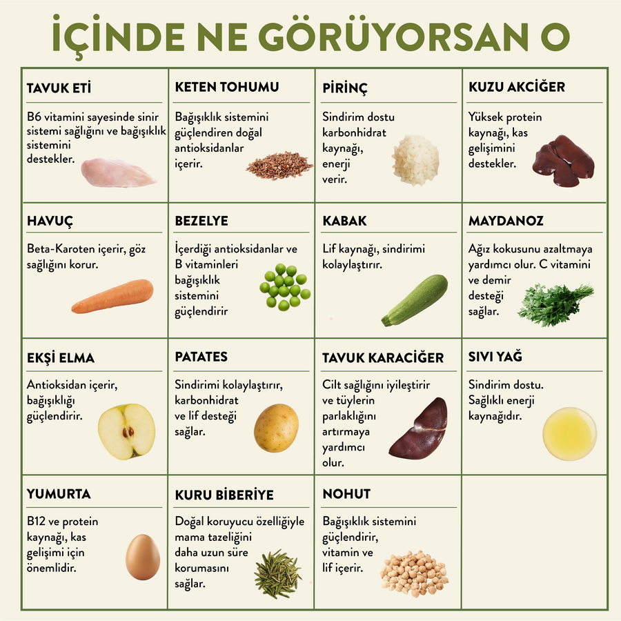 Tavuk Etli Kito Fresh x60 (Orta Irk Köpekler için Aylık Kito Fresh Paketi)