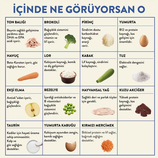 Ton Balıklı Taze Kedi Yemeği İçindekiler