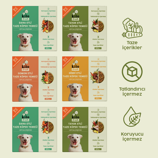 Kito Fresh Köpekler için %100 Taze İçerikli Mama Tanışma Paketi