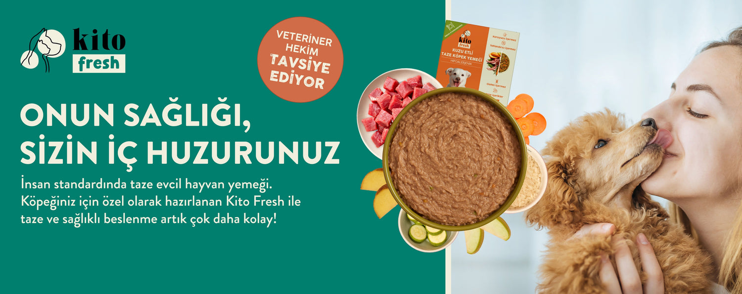 Köpek Kito Fresh Banner