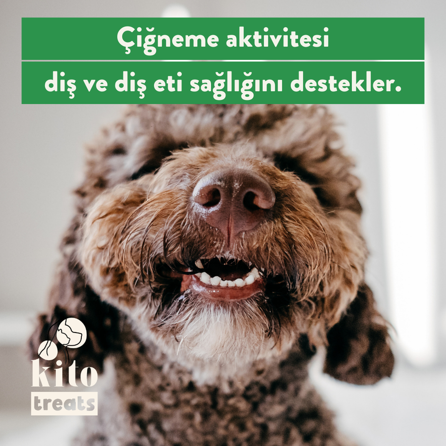 Kito Dana Akciğer Küp Atıştırmalık Köpek Ödül Maması %100 Doğal, Glutensiz, Organik 100 gr