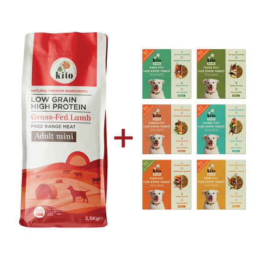 Yetişkin Mini Irk Köpek Maması 2.5 KG + Köpek Kito Fresh Tanışma Paketi