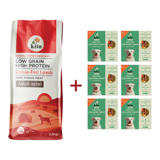 Yetişkin Mini Irk Köpek Maması 2.5 KG + Dana Etli Köpek Kito Fresh X 6