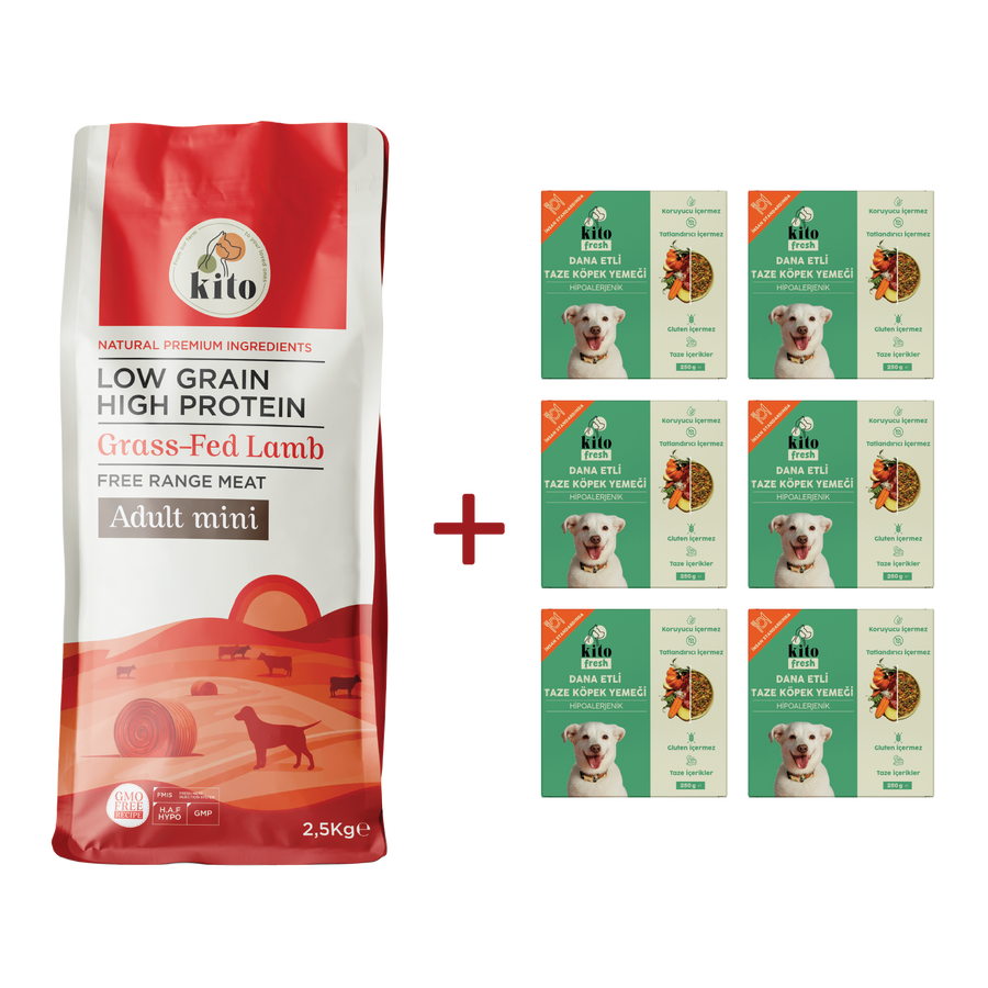 Adult Mini Dog Food 2,5 KG + Kito Fresh Dog Food with Beef X 6