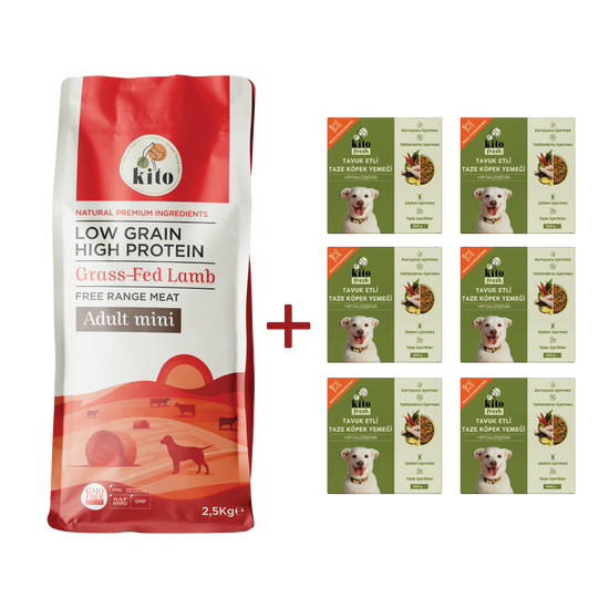 Yetişkin Mini Irk Köpek Maması ve Tavuk Etli Köpek Kito Fresh