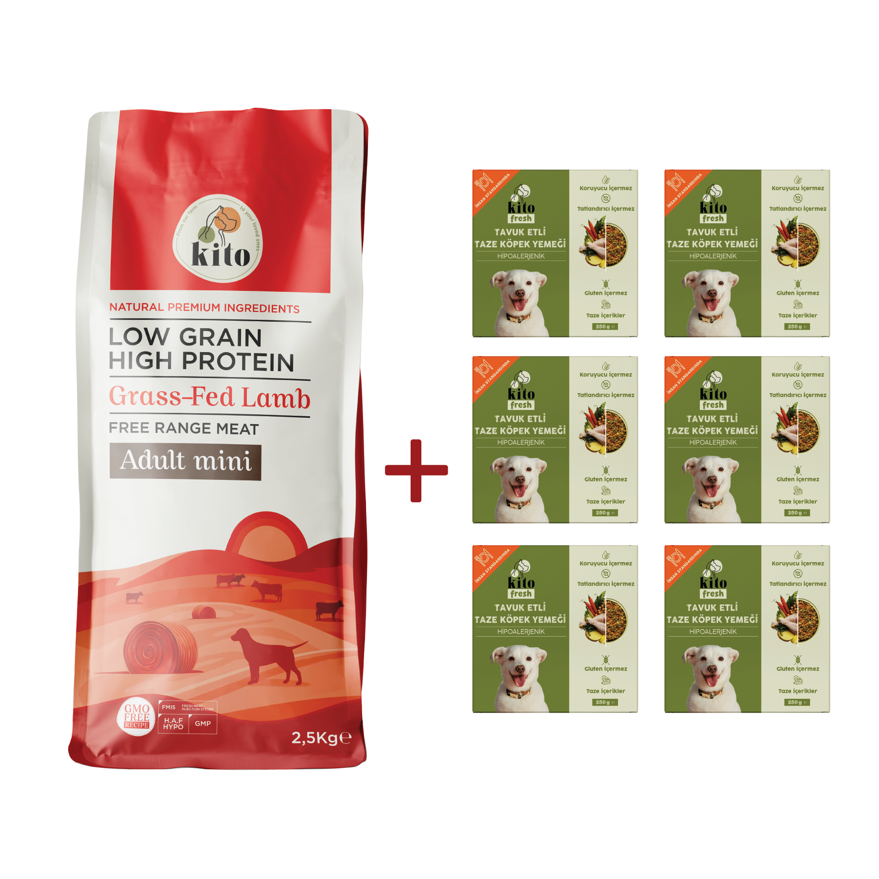 Yetişkin Mini Irk Köpek Maması ve Tavuk Etli Köpek Kito Fresh
