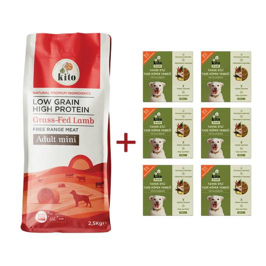 Yetişkin Mini Irk Köpek Maması 2.5 KG + Tavuk Etli Köpek Kito Fresh X 6