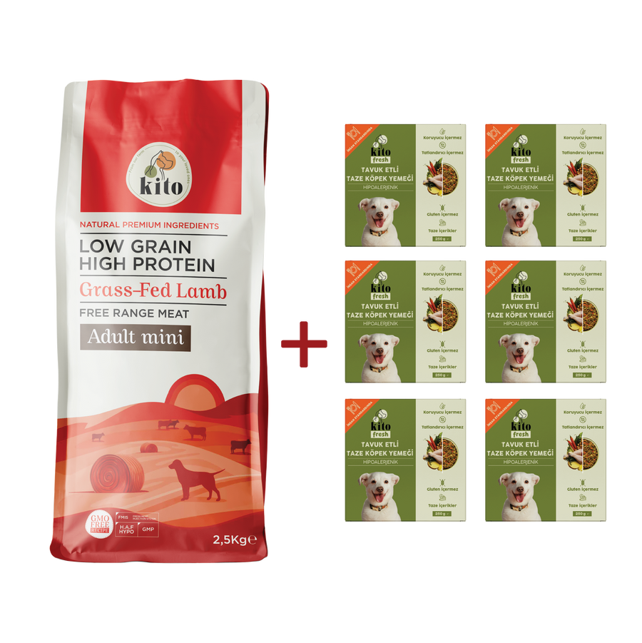 Yetişkin Mini Irk Köpek Maması 2.5 KG + Tavuk Etli Köpek Kito Fresh X 6