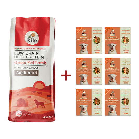 Yetişkin Mini Irk Köpek Maması 2.5 KG + Somon Etli Köpek Kito Fresh X 6