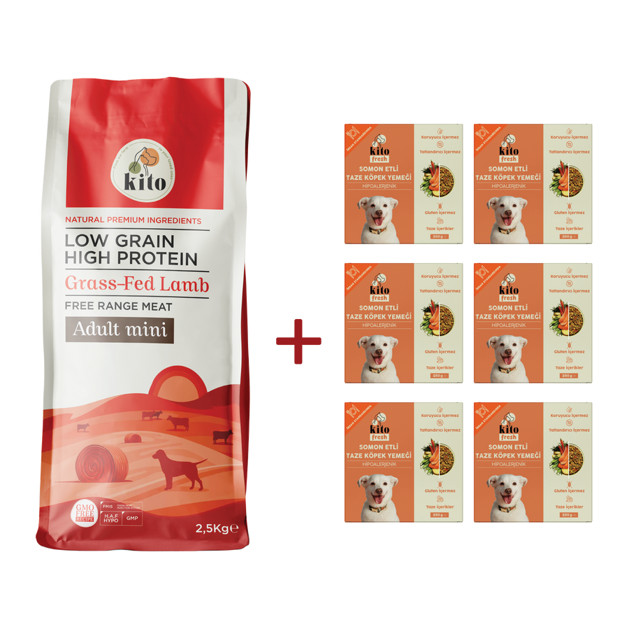 Adult Mini Dog Food 2,5 KG + Kito Fresh Dog Food with Salmon X 6